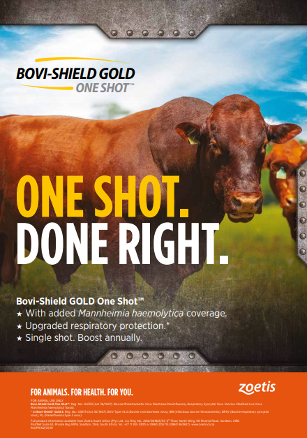 Bovishield GOLD ONE SHOT flyer banner