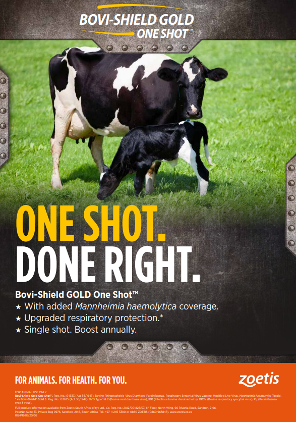 Bovishield GOLD ONE SHOT flyer banner