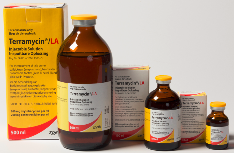 Terbinafine hydrochloride tablets price
