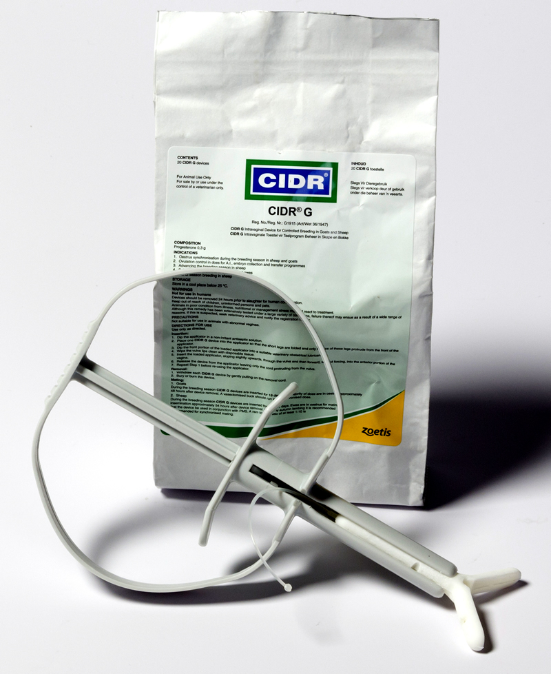 Zoetis Product CIDR G Zoetis ZA
