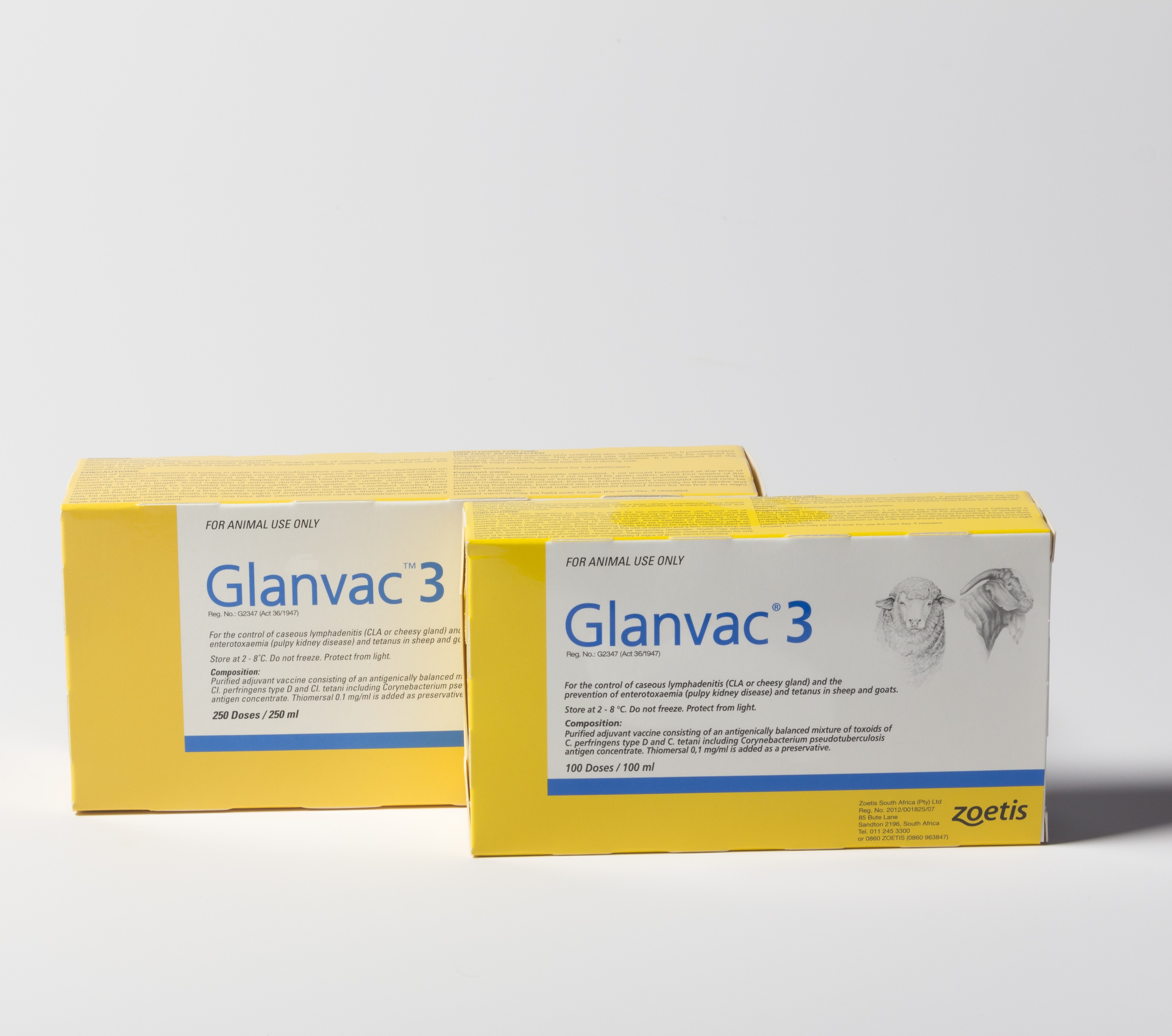 Glanvac 3 Family 10005190
